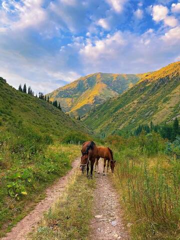 Фото Люкс-шатры Этно Аул Тумар г. Taūtürgen 2